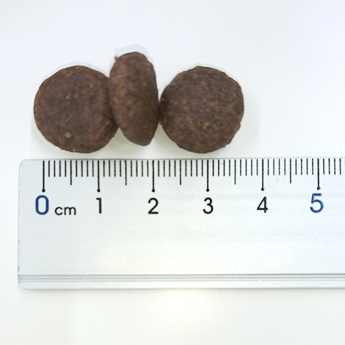 製品を定規で図ったイメージ