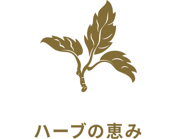 ハーブの恵み