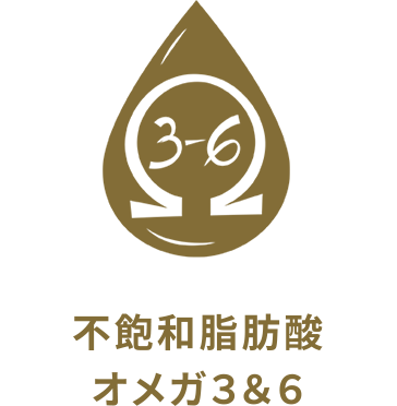 不飽和脂肪酸オメガ3&6