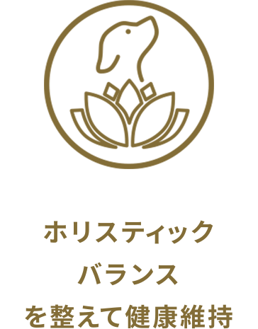 ホリスティックバランスを整えて健康維持