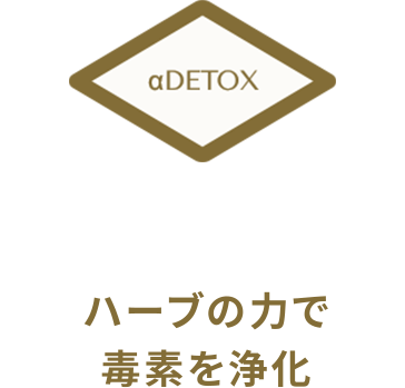 ハーブの力で毒素を浄化