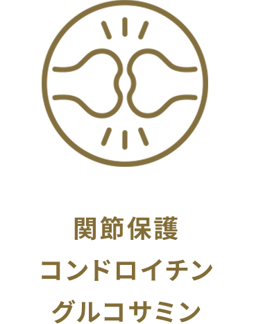 関節保護 コンドロイチン グルコサミン