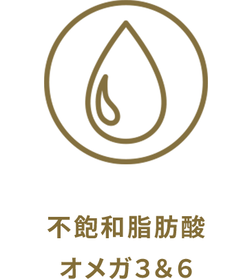 不飽和脂肪酸オメガ3&6