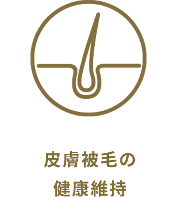 皮膚被毛の健康維持