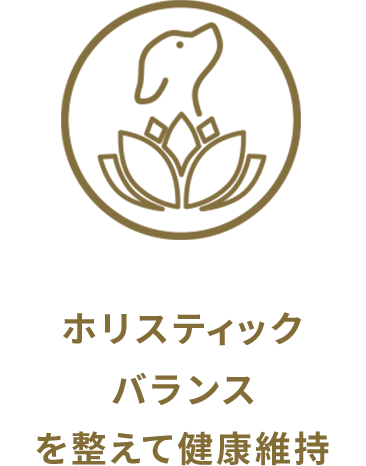 ホリスティックバランスの維持を整えて健康維持