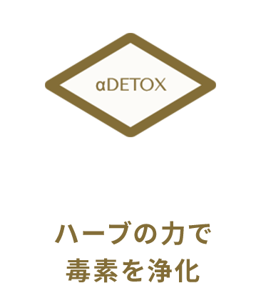 ハーブの力で毒素を浄化