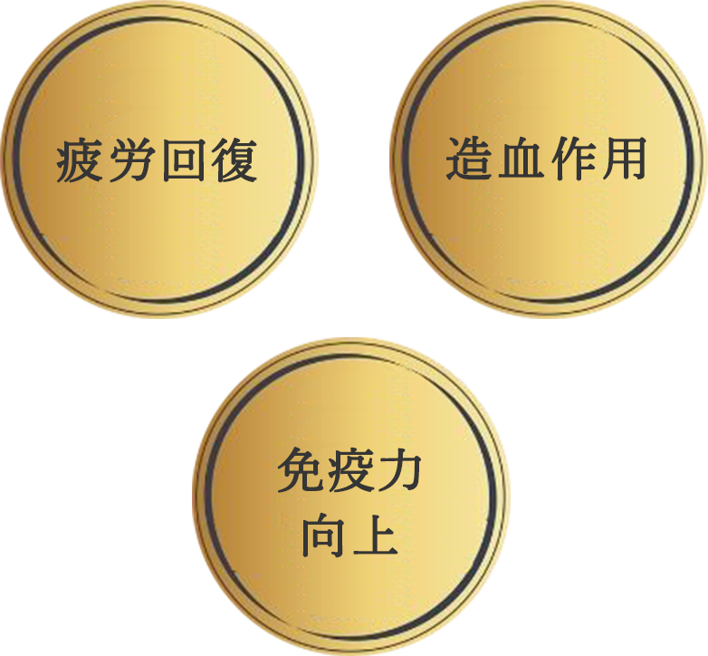 疲労回復 造血作用 免疫力向上