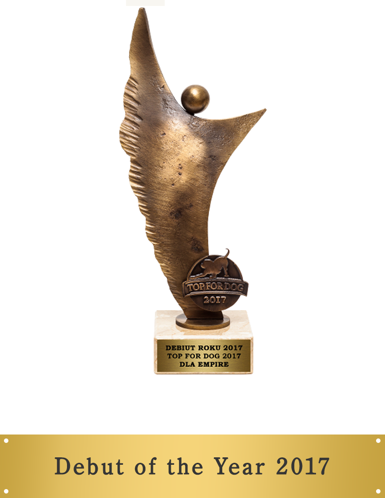 Debut of the Year 2017