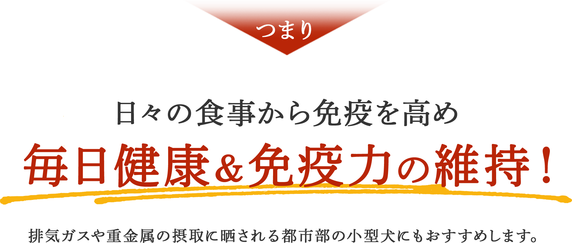 つまり 日々の食事から免疫を高め毎日健康&免疫力の維持！ 排気ガスや重金属の摂取に晒される都市部の小型犬にもおすすめします。