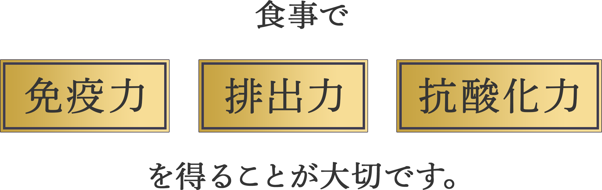 食事で免疫力 排出力 抗酸化力 を得ることが大切です。