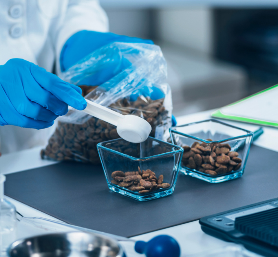 安全管理の様子