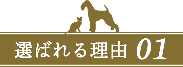 選ばれる理由01