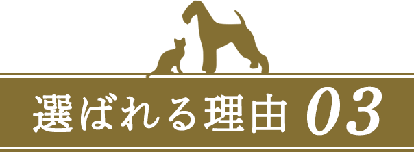 選ばれる理由03
